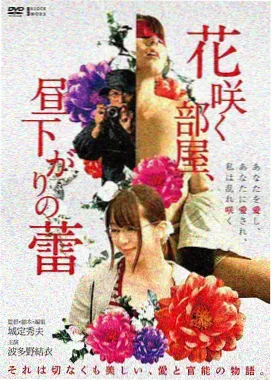 萧然影院午夜共读现场，期刊架与暖光